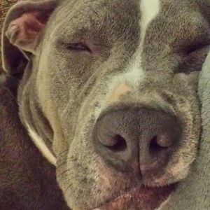 Meet your Posher, Selena